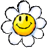 flor